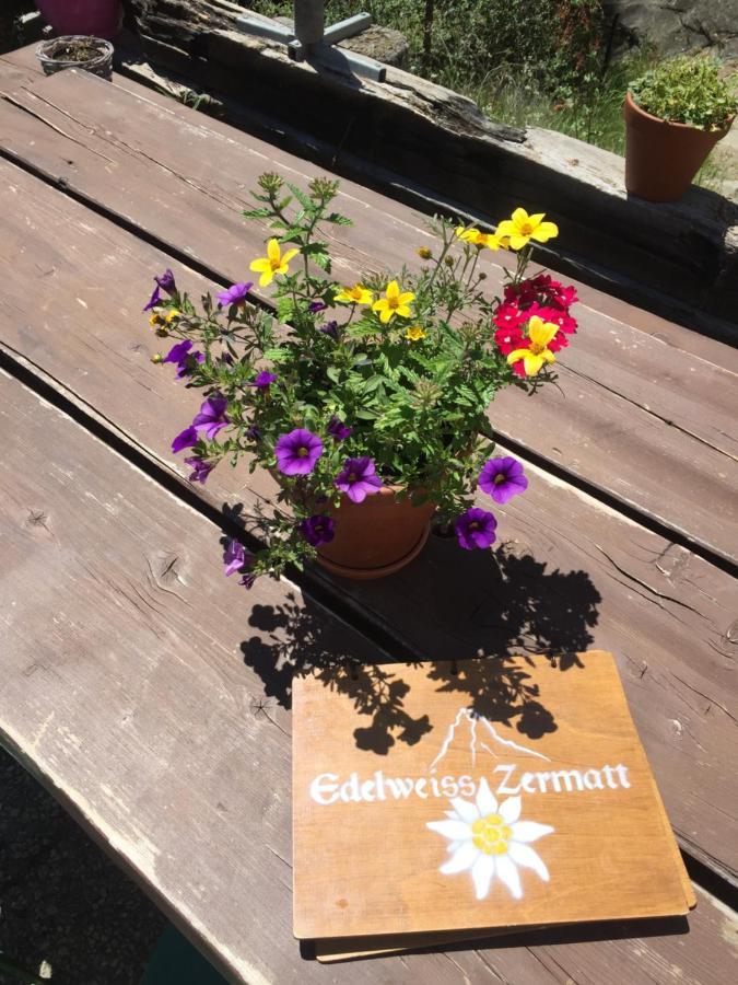 Edelweiss Mountain Guest House - 1 Hour Hike Up From Zermatt Station - On Hiking Trail - No Transport エクステリア 写真